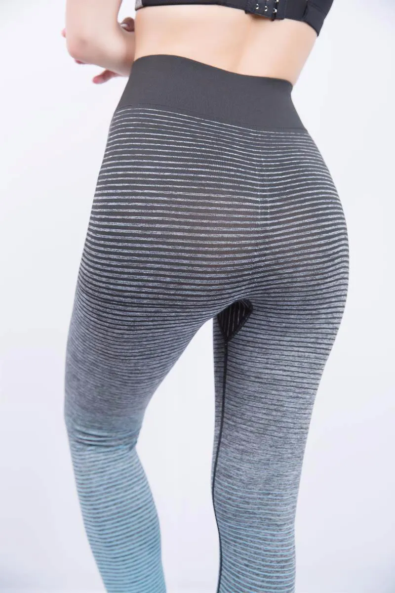 Ombre Training Tights