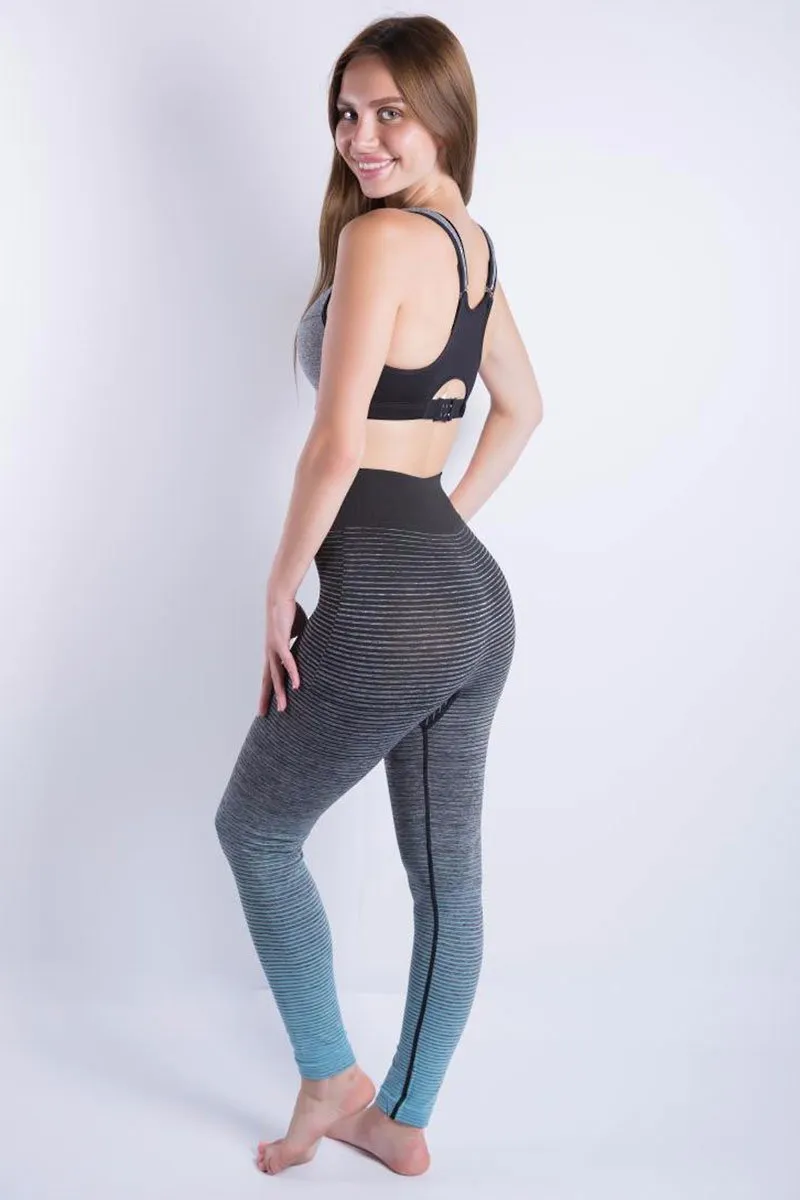 Ombre Training Tights