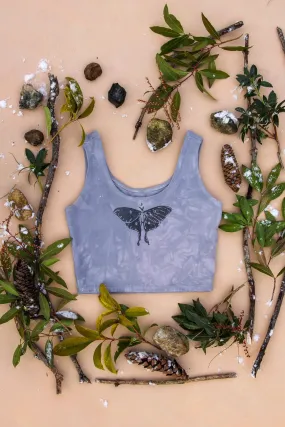 Winter Luna Moth Organic Cotton Bra Top